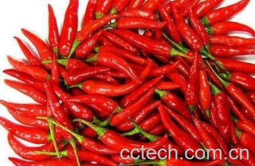 切完辣椒手辣怎么办 被辣椒辣到手怎么办-0