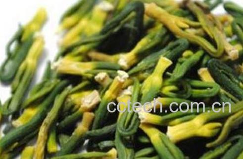 莲子心的功效与作用及药用价值-0