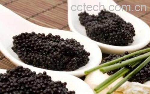鱼子酱怎么吃 鱼子酱的正确吃法-0