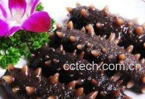 干海参怎么吃-0