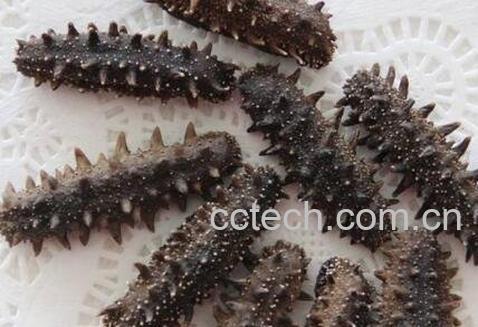 干海参怎么吃-1