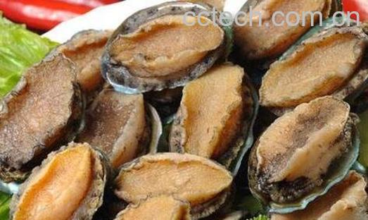 珍珠鲍鱼的功效与作用-0