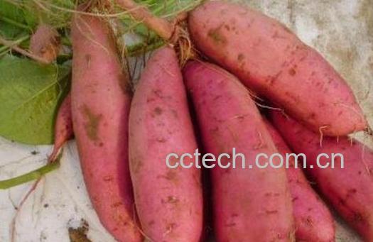 含钾高的食物有哪些 吃哪些食物能补钾-0