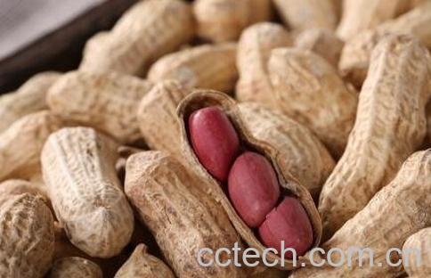 花生的功效与作用有哪些-0