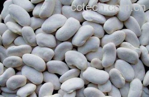 含钾高的食物有哪些 吃哪些食物能补钾-1