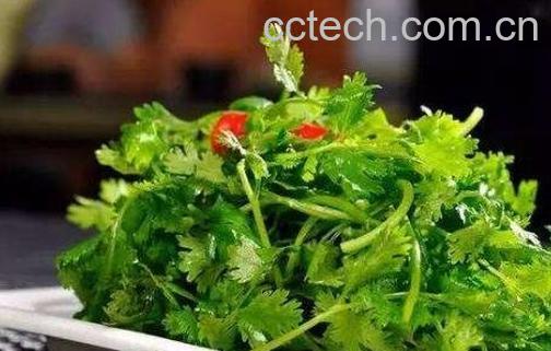 香菜的功效与作用有哪些-1