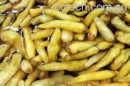 怎么腌辣椒好吃 腌辣椒的做法教程-1