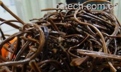 蕨菜干的功效与作用-0