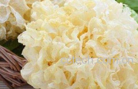 银耳的功效与作用 银耳怎么吃-0