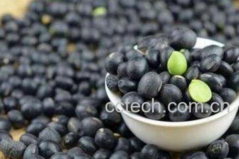 吃黑豆的功效与作用-0
