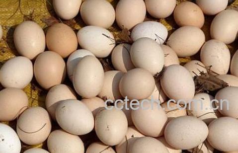 含硒高的食物有哪些 哪些食物能补硒-0