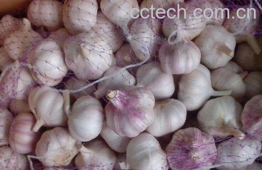 含硒高的食物有哪些 哪些食物能补硒-1