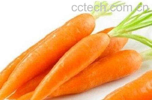 儿童吃红萝卜的好处和坏处-0
