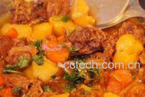鹅肉炖萝卜的功效与作用-1
