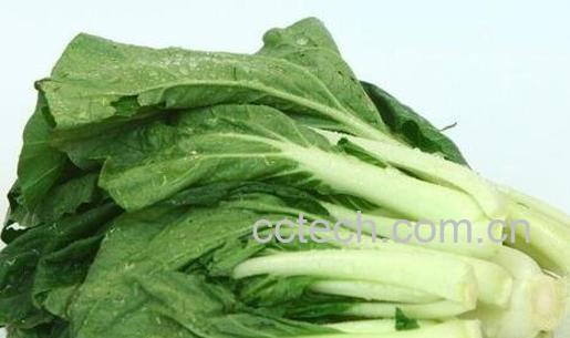 油菜和小白菜的营养价值-1