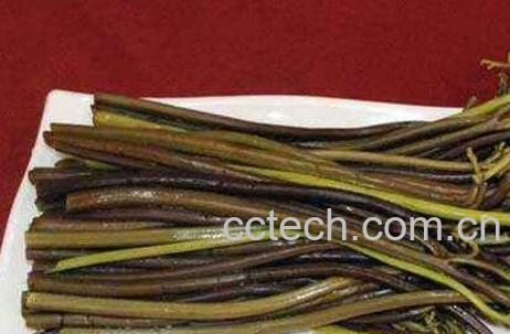 蕨菜怎么腌制 酸蕨菜的腌制方法-1