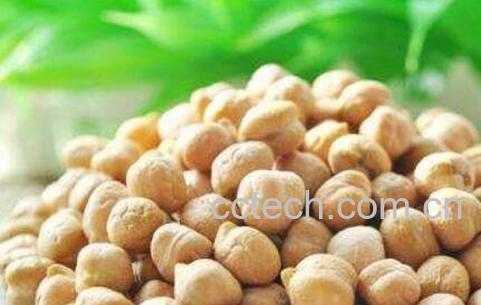 鹰嘴豆怎么吃 鹰嘴豆的吃法技巧-0