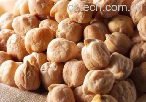 鹰嘴豆怎么吃 鹰嘴豆的吃法技巧-1