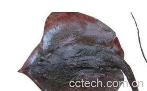 老板鱼对男人的功效-0