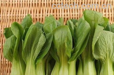油白菜的作用与功效-0
