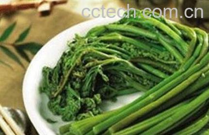 蕨菜致癌是真的吗 蕨菜的功效与作用-0