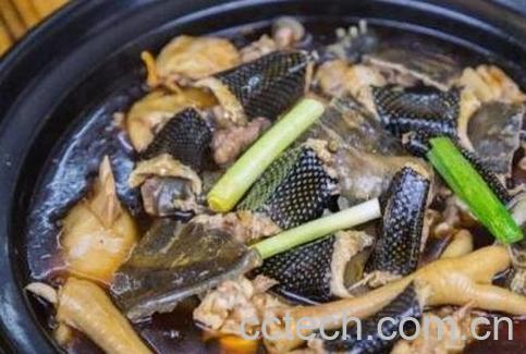 蛇肉的功效与禁忌-1