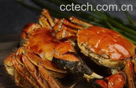大闸蟹怎么保存 大闸蟹保鲜方法技巧-0