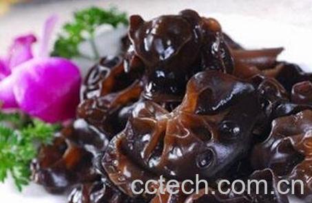 补血的蔬菜有哪些-0