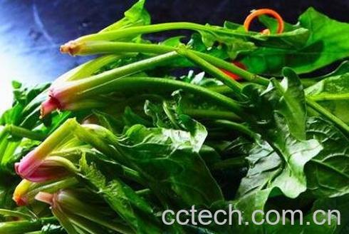 补血的蔬菜有哪些-1