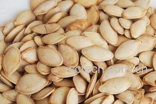 南瓜子有哪些功效与作用-1