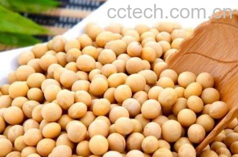黄豆有哪些功效与作用-0