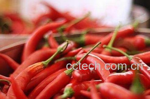 辛辣食物有哪些 吃辛辣食物的好处-0