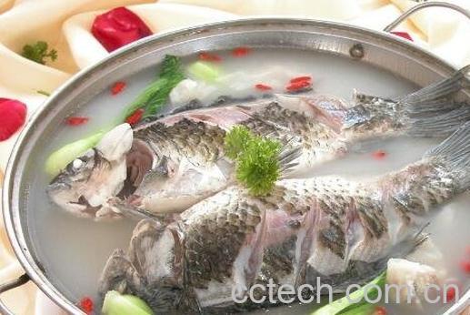 鲫鱼仔的功效与作用-1