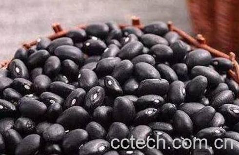 怎样吃黑豆补肾 醋泡黑豆能补肾吗-0