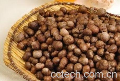 山药豆的作用 山药豆怎么吃最有营养-0