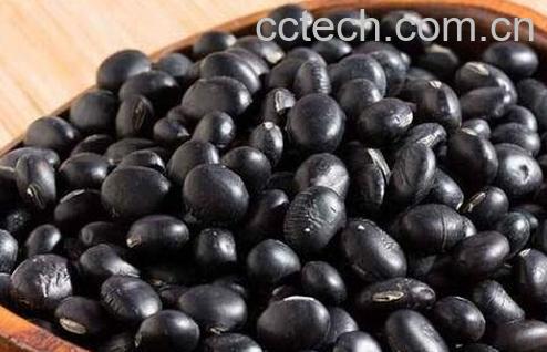 怎样吃黑豆补肾 醋泡黑豆能补肾吗-1