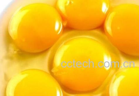 含铁高的食物有哪些 补铁的食物有哪些-1