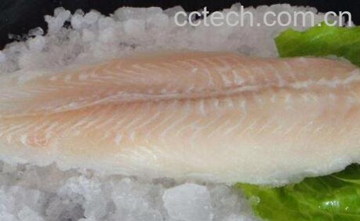 龙利鱼的营养价值及功效-0