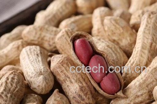 吃生花生有什么好处与功效-1