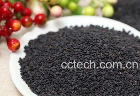  黑芝麻怎么吃最好 黑芝麻最简单的吃法-1