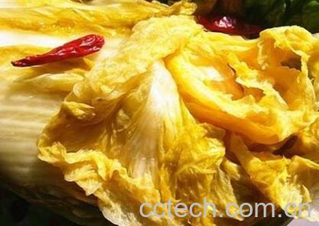 塑料袋怎样腌制酸菜-1