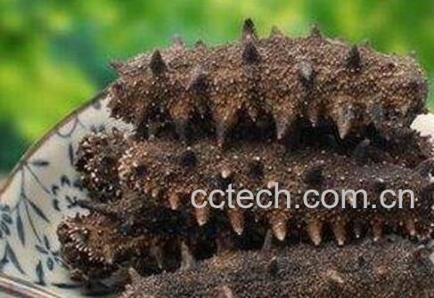 干海参怎么保存 干海参怎么泡发-0