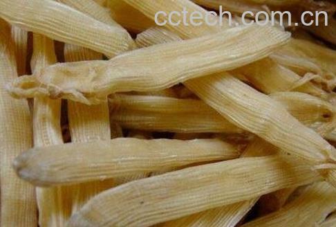 白沙虫干的功效与作用-0