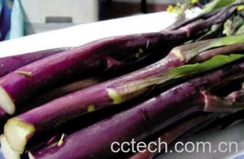 紫菜苔的功效与作用-0