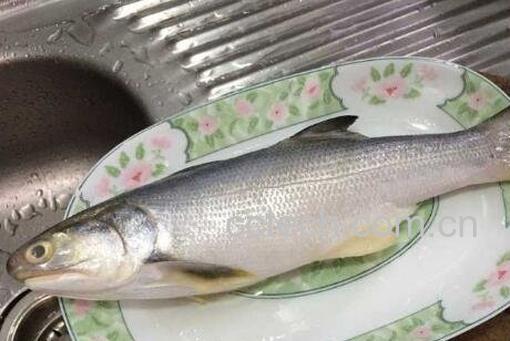 马友鱼的功效与作用-0