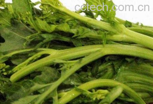 干油菜苔的功效与药用-0