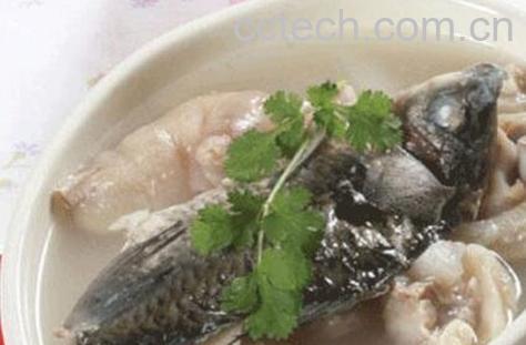 猪爪鲫鱼功效与作用-0