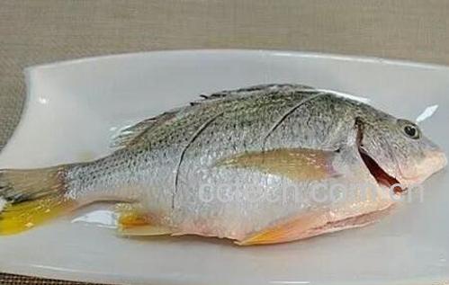 黄翅鱼有什么功效-0