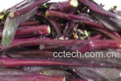 菜苔干怎么做 菜苔干的腌制方法-0