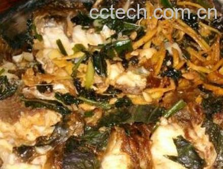 紫苏鱼的作用与功效-0